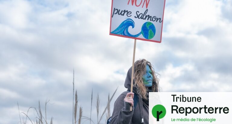 200 personnalités, dont Guillaume Meurice et Camille Étienne, s’opposent à une méga-usine de saumons en France.