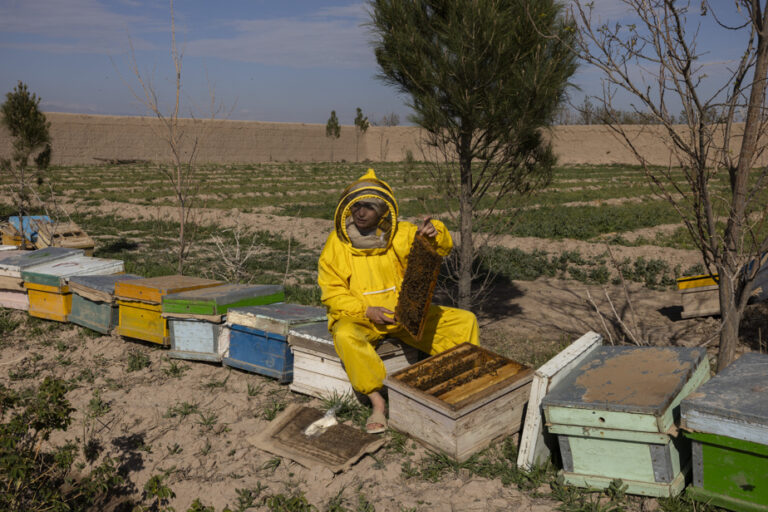 Sous la férule des talibans, les droits des femmes en Afghanistan continuent de reculer.