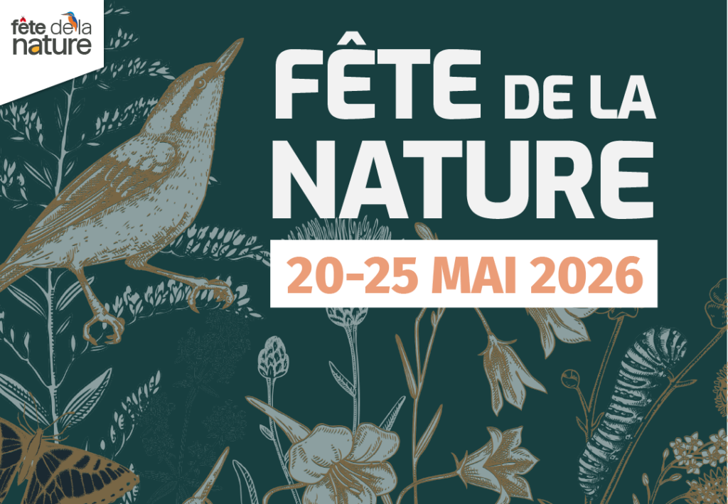 Fête de la Nature : France Nature Environnement organise des activités pour sensibiliser à la biodiversité