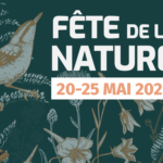 Fête de la Nature : France Nature Environnement organise des activités pour sensibiliser à la biodiversité