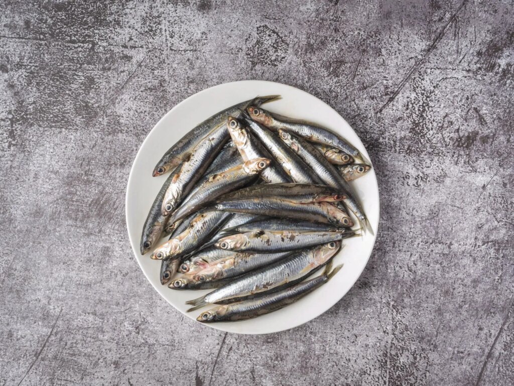 L’anchois en pissaladière ou anchoïade : méthodes de préparation en cuisine méditerranéenne.