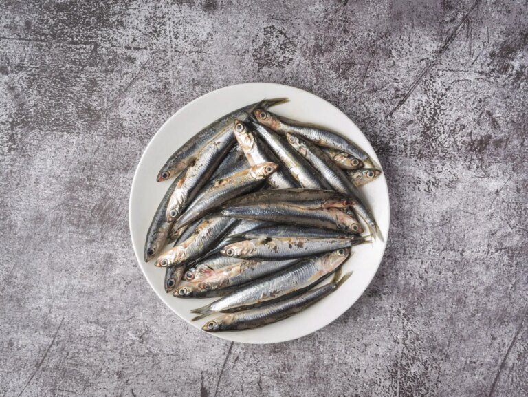 L’anchois en pissaladière ou anchoïade : méthodes de préparation en cuisine méditerranéenne.