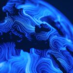 Conformité européenne et souveraineté : enjeux pour les États membres face aux réglementations.