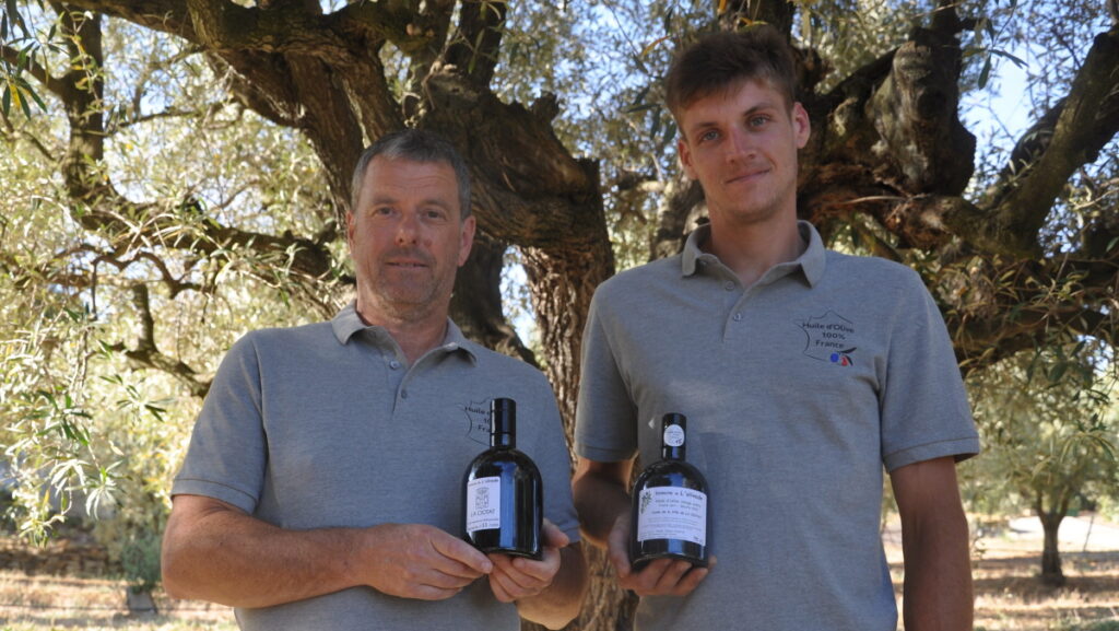 Le Domaine de l’Olivade lance sa première cuvée d’huile d’olive « La Ciotat »