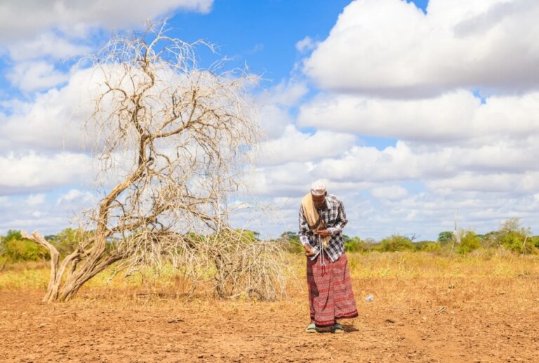 Aide financière pour les familles de Tana River face à la sécheresse en cours.