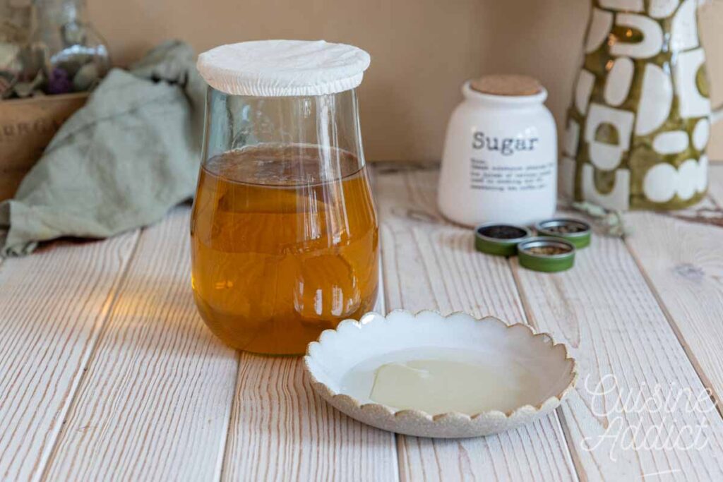 Création d’un SCOBY : méthode simple pour produire du kombucha à domicile