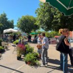 Le marché solidaire de La Viste dans le 15e arrondissement de Marseille célèbre son deuxième anniversaire.