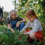 Petits gestes quotidiens renforcent les liens entre grands-parents et petits-enfants.
