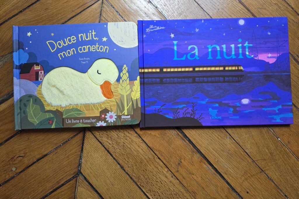Deux livres pour enfants explorent les mystères de la nuit et ses enjeux éducatifs