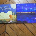 Deux livres pour enfants explorent les mystères de la nuit et ses enjeux éducatifs