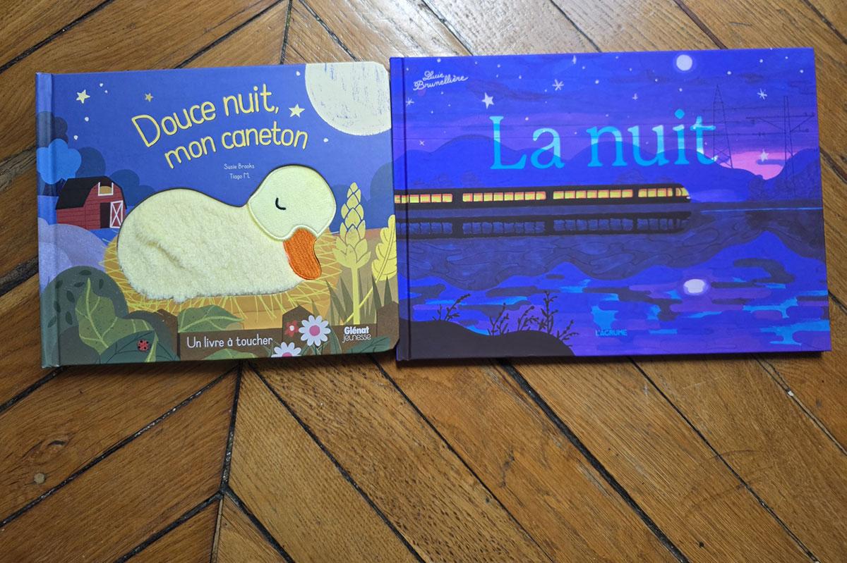 Deux livres pour enfants explorent les mystères de la nuit et ses enjeux éducatifs