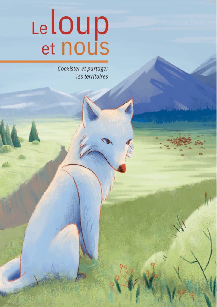 Le loup en France : enjeux de conservation et tensions avec l’élevage.