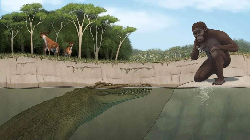 Géant crocodile découvert : une menace pour les ancêtres humains selon des chercheurs.