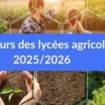 Résultats du concours des lycées agricoles 2026 : 30% d’élèves admis en hausse par rapport à 2025.