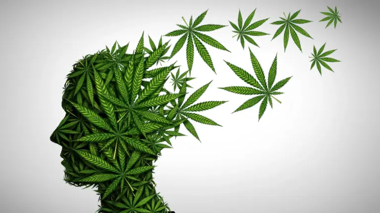 Étude révèle que l’usage de marijuana chez les adolescents double le risque de troubles mentaux.