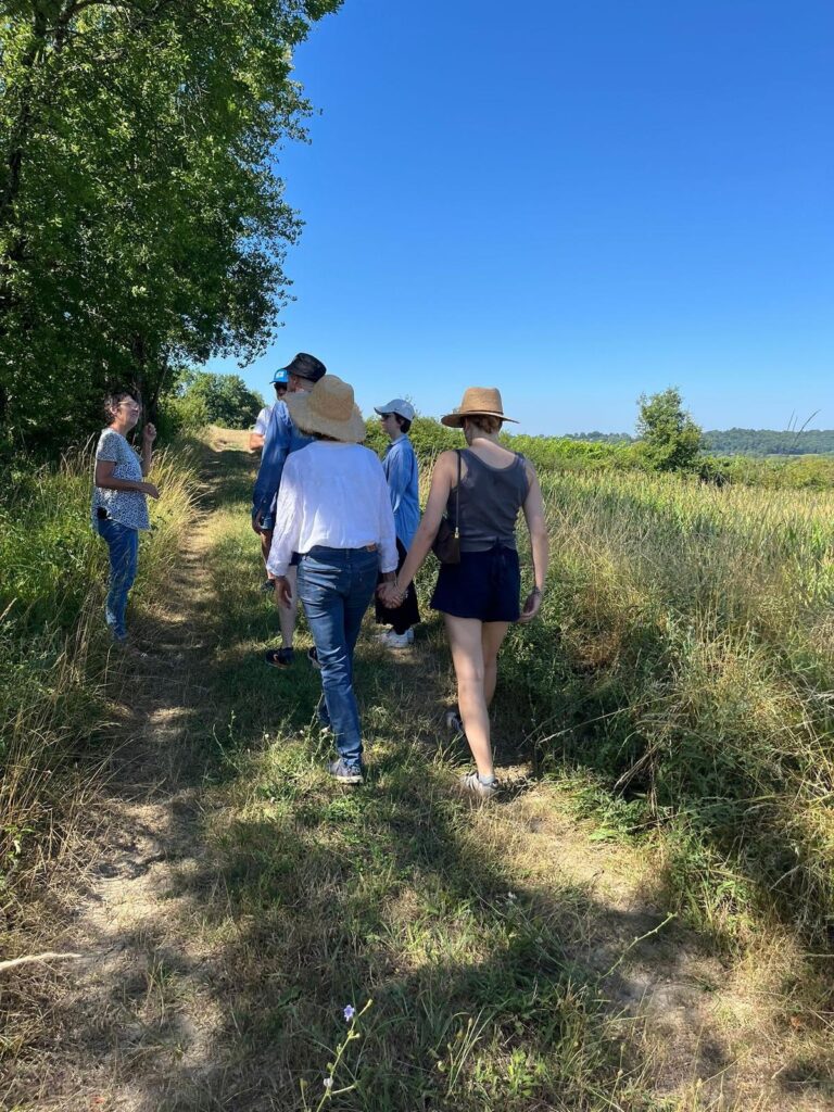 Baleyssagues explore les herbes sauvages au domaine les Hauts de Riquets en France.