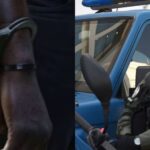 Révélations sur un réseau clandestin découvert par les enquêteurs en France