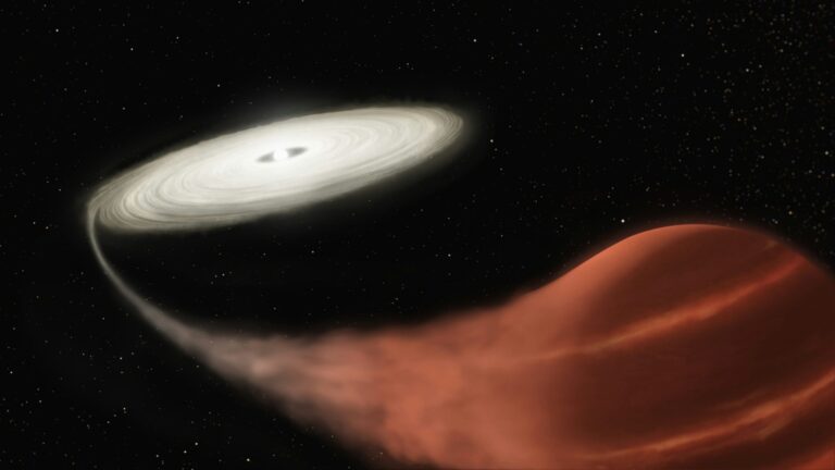Une planète similaire à la Terre orbite autour d’une étoile morte à 4 000 années-lumière.