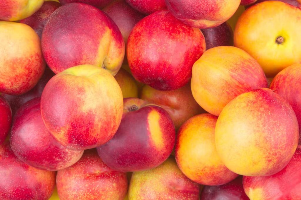 Carrefour rappelle des pêches et nectarines bio en raison de risques sanitaires en France.