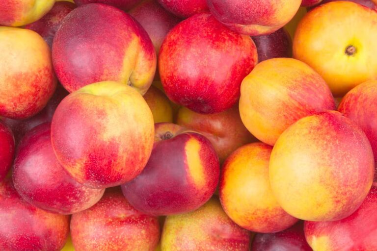 Carrefour rappelle des pêches et nectarines bio en raison de risques sanitaires en France.
