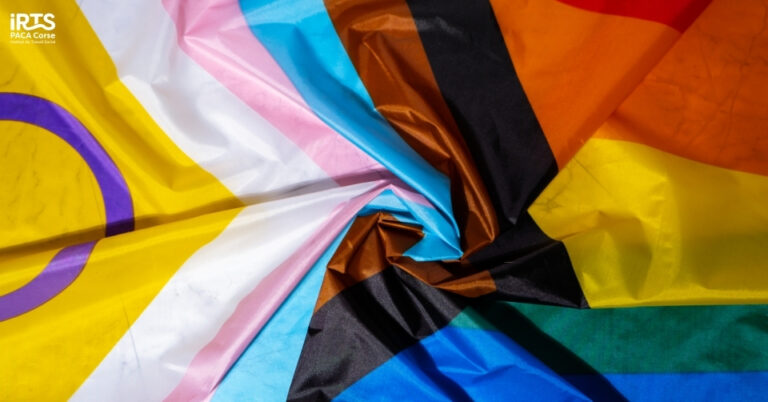 Journée d’étude sur l’accompagnement des personnes LGBTQIA+ dans le travail social en France