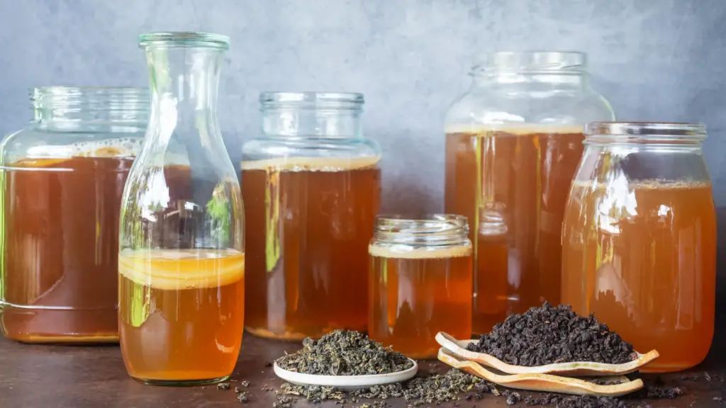 La composition du thé dans le kombucha influence ses propriétés probiotiques et nutritionnelles.