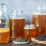 La composition du thé dans le kombucha influence ses propriétés probiotiques et nutritionnelles.