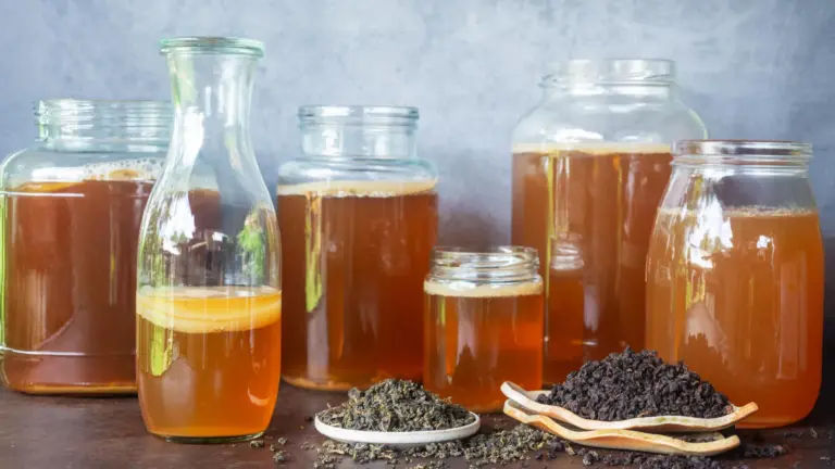 La composition du thé dans le kombucha influence ses propriétés probiotiques et nutritionnelles.
