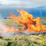 Les 10% des consommateurs les plus riches génèrent une part disproportionnée des émissions de CO2.