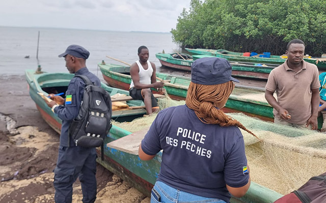Pêche illicite : 244 raies saisies lors d’un contrôle à Port-Gentil, Gabon