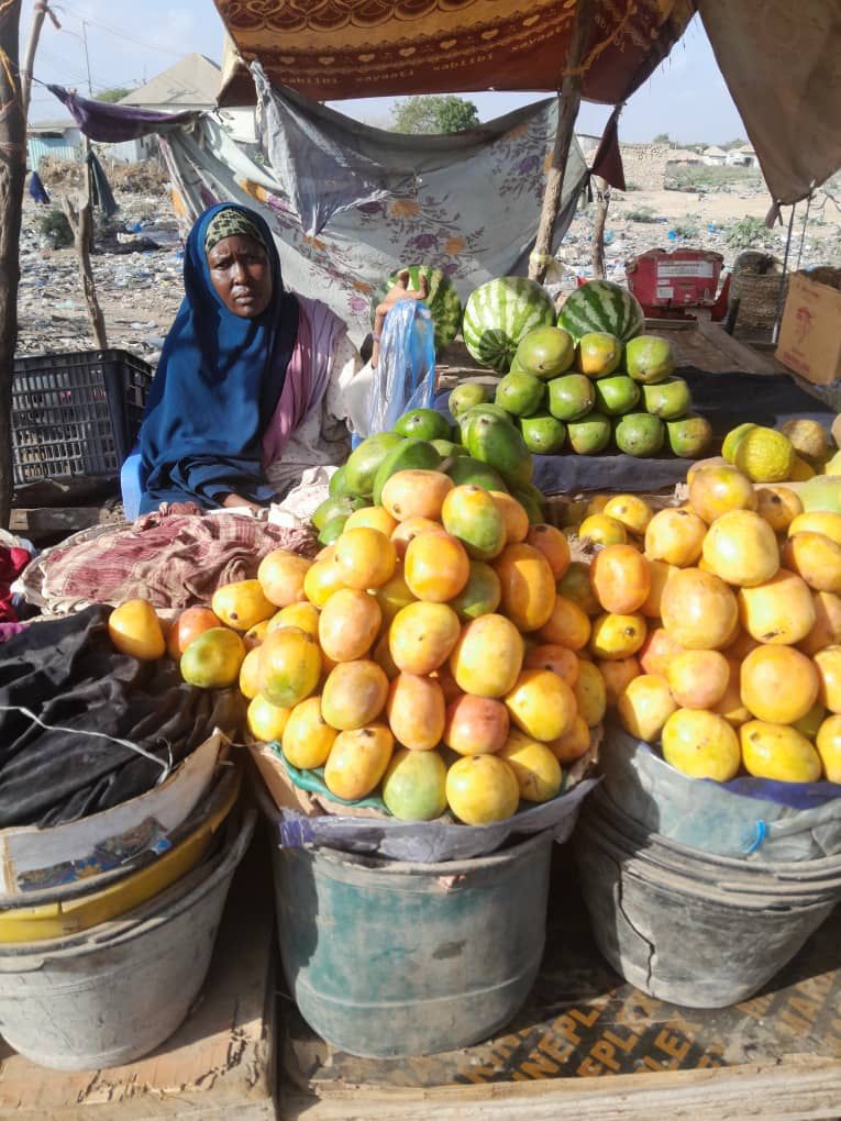 Somalie : l’assistance en espèces multisectorielle renforce les communautés en crise