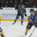 Transferts en Ligue Magnus : Brûleurs de loups, Diables Rouges, Pionniers et Rapaces concernés.