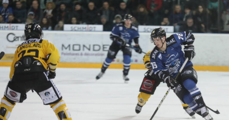 Transferts en Ligue Magnus : Brûleurs de loups, Diables Rouges, Pionniers et Rapaces concernés.