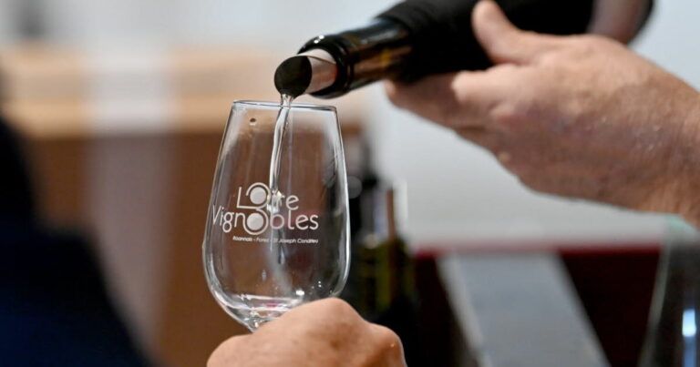 Vins de la Loire : Le cru 2025 se distingue par sa qualité solaire reconnue.