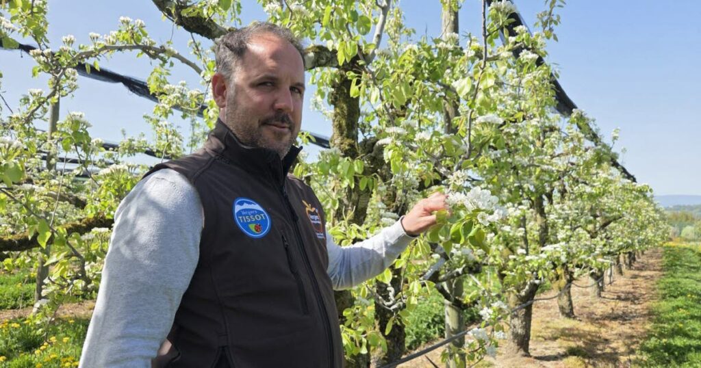 Bad buzz pour un arboriculteur haut-savoyard après une vidéo partagée par Hugo Clément.