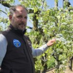 Bad buzz pour un arboriculteur haut-savoyard après une vidéo partagée par Hugo Clément.