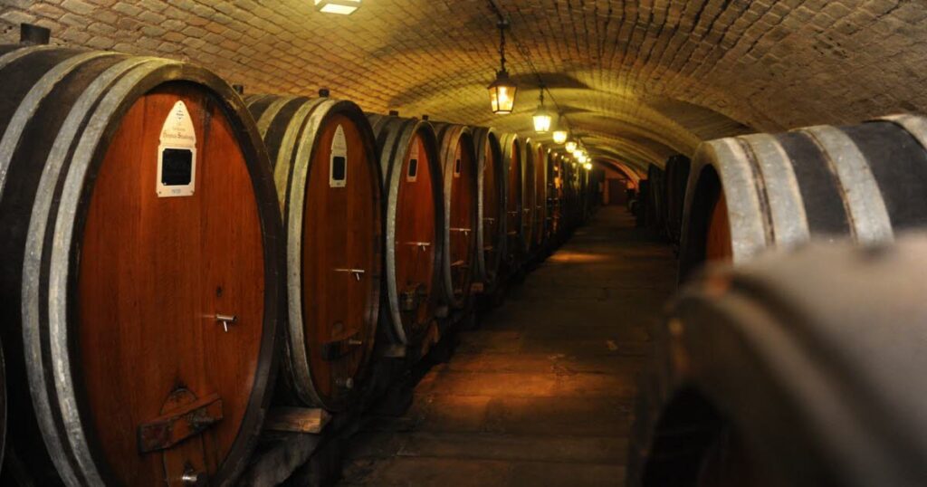 Un riesling d’Alsace détient le record du plus vieux vin au monde avec 170 ans.