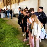 Collégiens de Berrwiller explorent les opportunités professionnelles à Bertschwiller