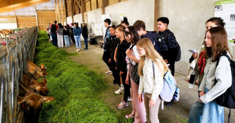 Collégiens de Berrwiller explorent les opportunités professionnelles à Bertschwiller