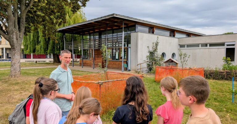 Hochfelden : les éco-délégués du collège Gustave-Doré transforment la cour en espace vert