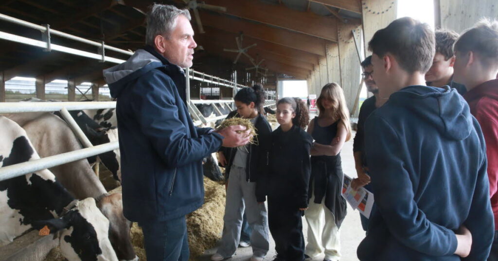 Agriculture à Jebsheim : une opération met en lumière les perspectives de demain
