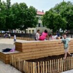 La cour de l’école du Bungert à Thann se transforme en espace végétalisé.