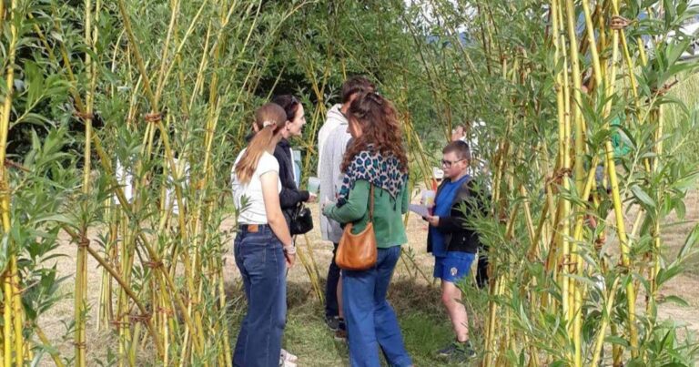 Pique-nique et visite commentée au jardin pédagogique du collège de Villé