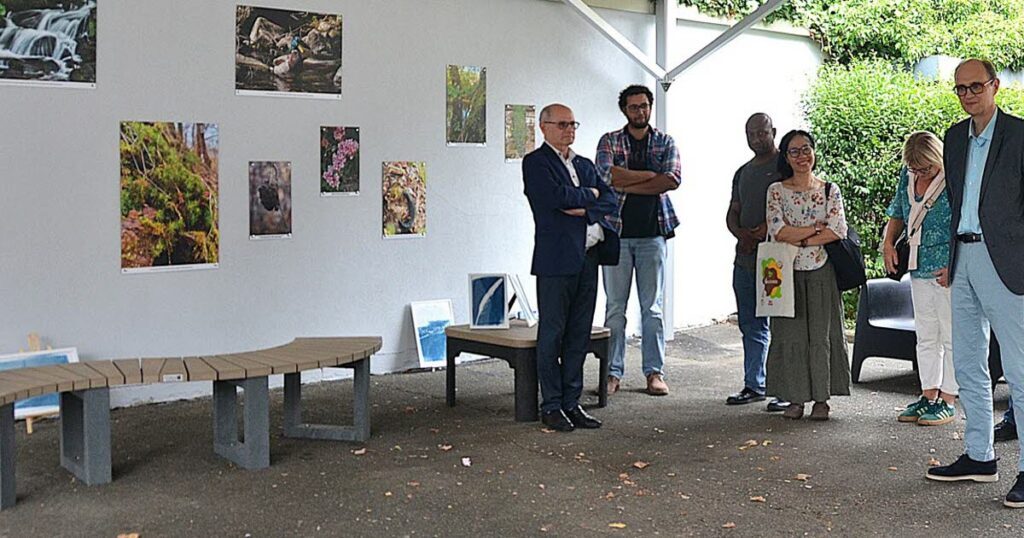La nature envahit le lycée Charles-Pointet à Thann, modifiant l’environnement scolaire.