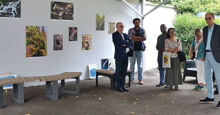 La nature envahit le lycée Charles-Pointet à Thann, modifiant l’environnement scolaire.