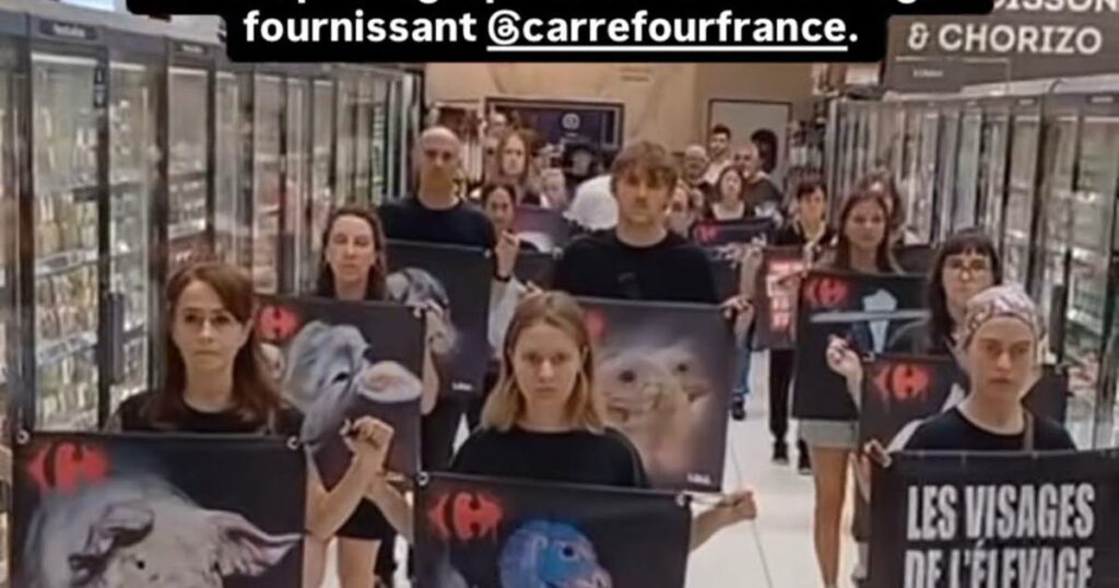 L214 occupe le plus grand hypermarché Carrefour de France pour dénoncer l’élevage intensif