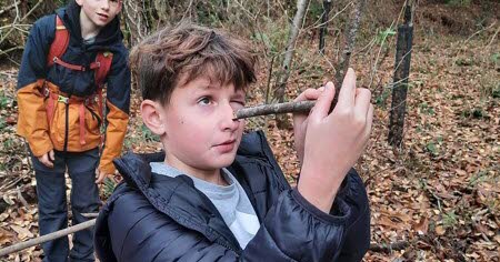 Phalsbourg : une parcelle de forêt devient un laboratoire à ciel ouvert pour la recherche.