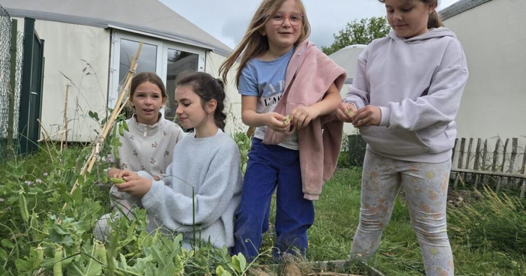 L’école alternative Tzama à Kembs devient l’un des 4 000 établissements labellisés « Éco-école » en France.
