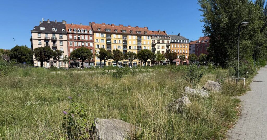 Résidence étudiante place d’Islande à Strasbourg : un vœu sans effet sur le quartier.