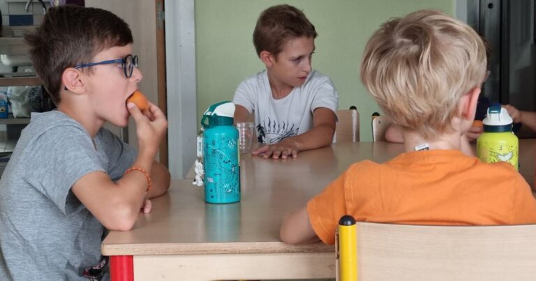 Ried de Marckolsheim : les accueils périscolaires ouvriront aux enfants dès 3 ans.